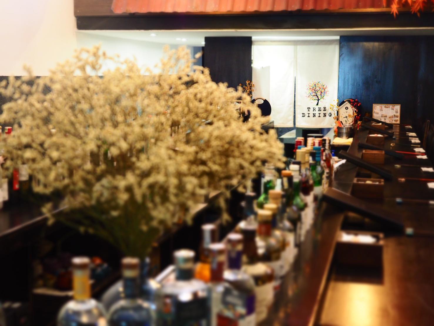 出典：TREE DINING