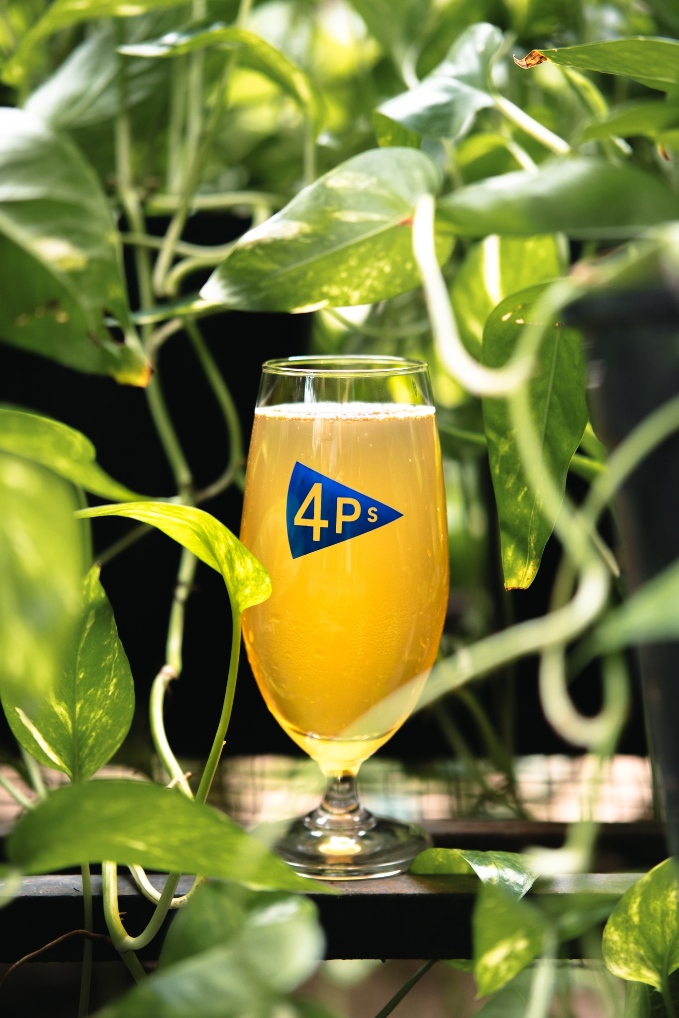 481448950_1046708464166572_8697126026749728939_n