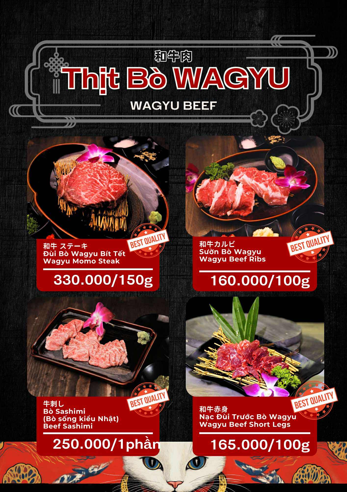 540579800_1847546169474238_8638285192108433629_n