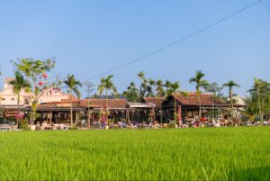 ホイアン カフェおすすめ｜田んぼビューが美しいRoving Chill Houseを紹介